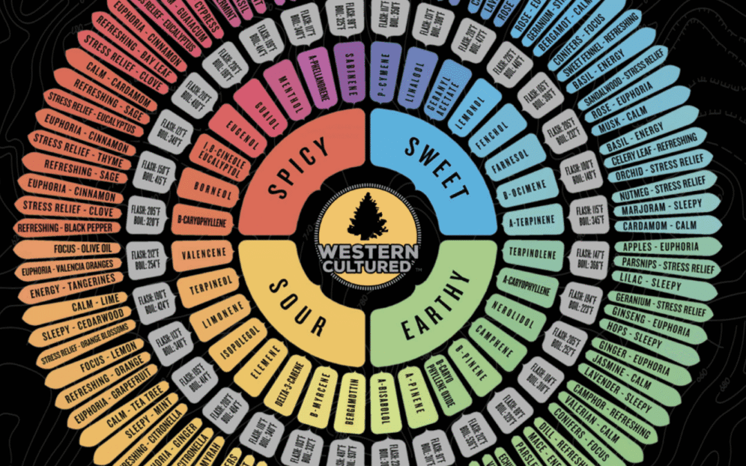 🎨 The Terp Wheel & Why Terps Matter More Than THC